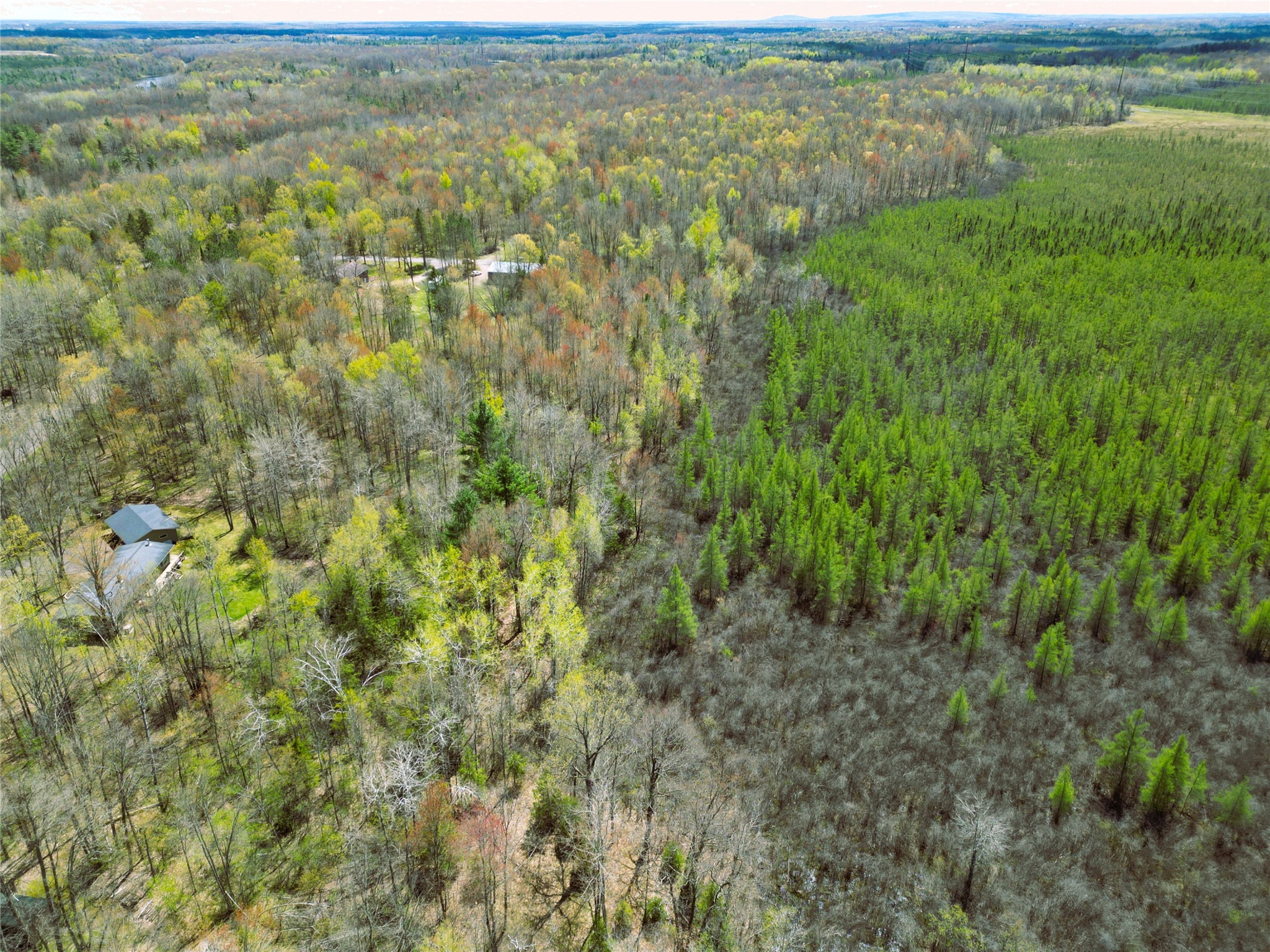 96+ Acres on White Birch Ridge Road