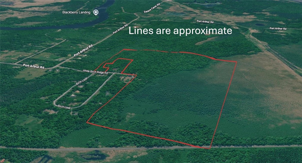 96+ Acres on White Birch Ridge Road