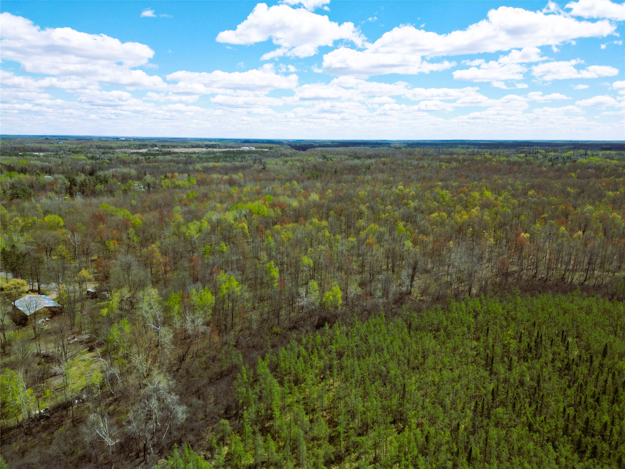 96+ Acres on White Birch Ridge Road