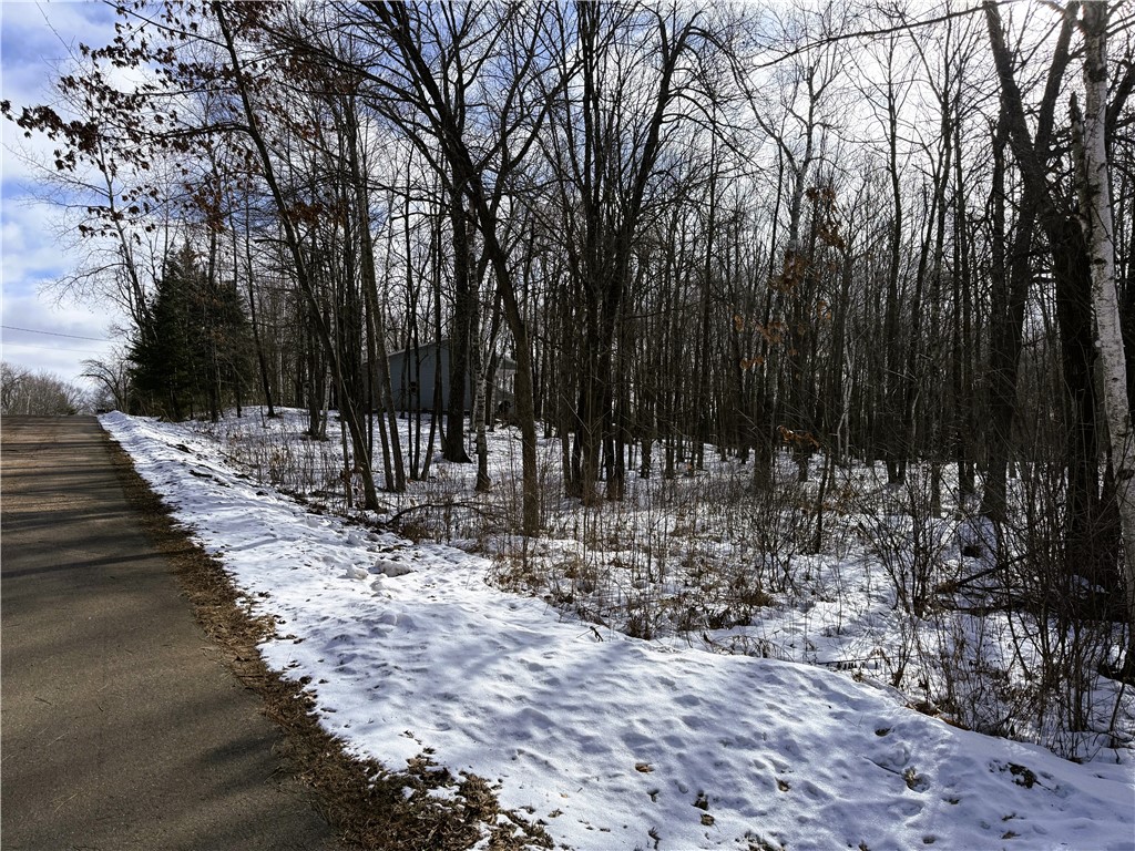 96+ Acres on White Birch Ridge Road