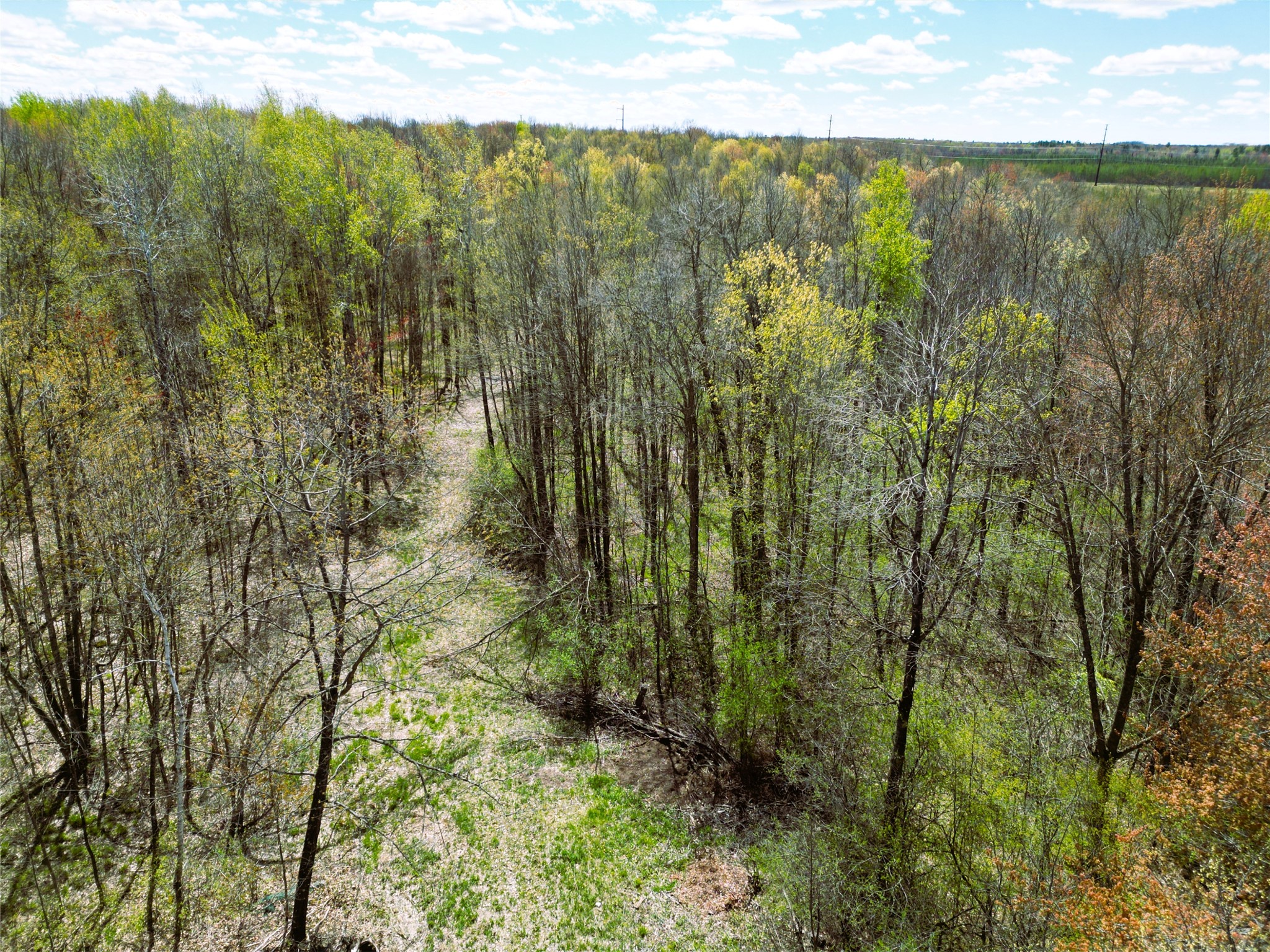 96+ Acres on White Birch Ridge Road
