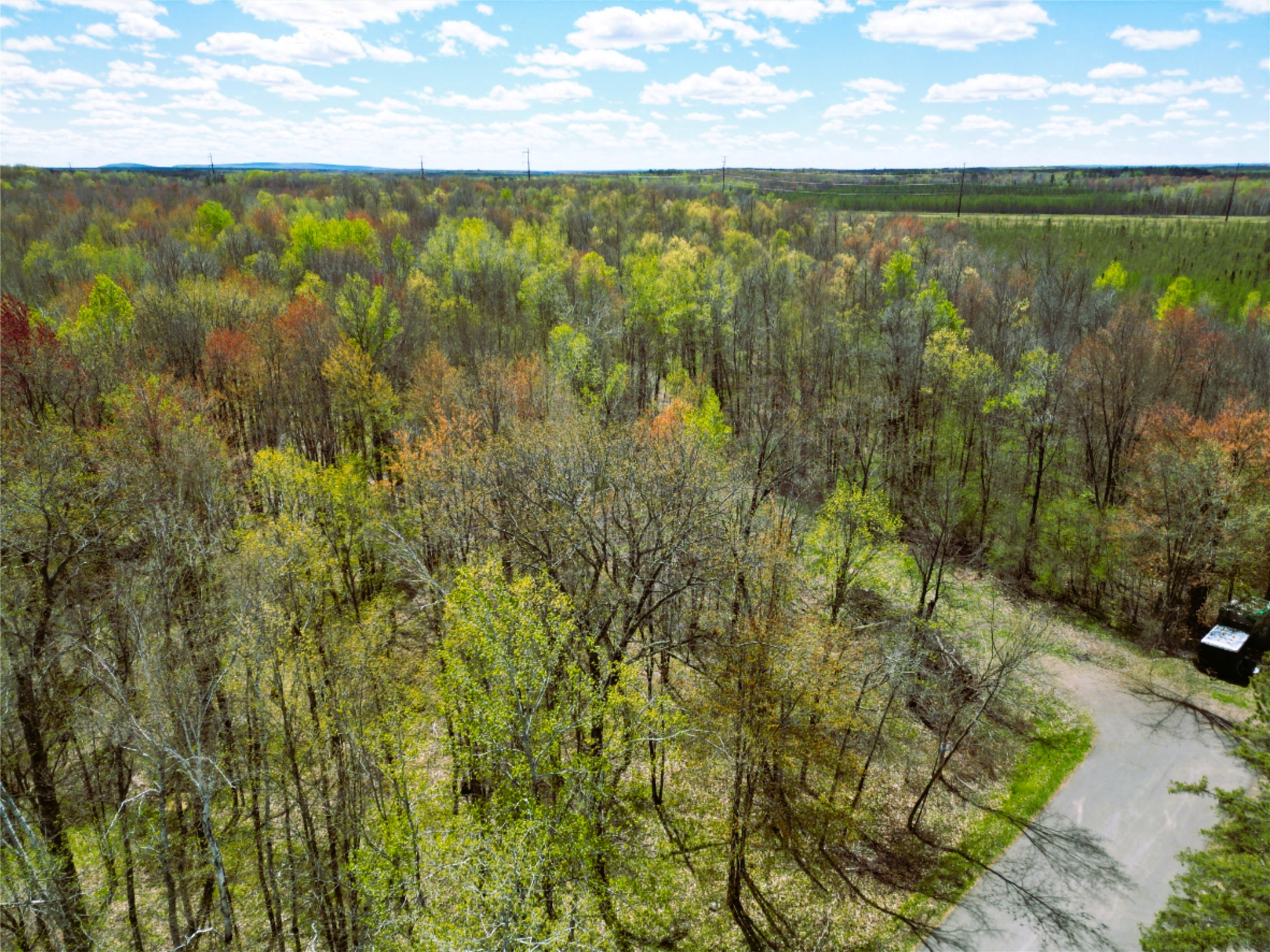 96+ Acres on White Birch Ridge Road