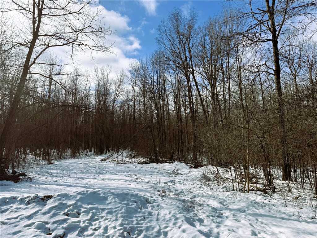 96+ Acres on White Birch Ridge Road
