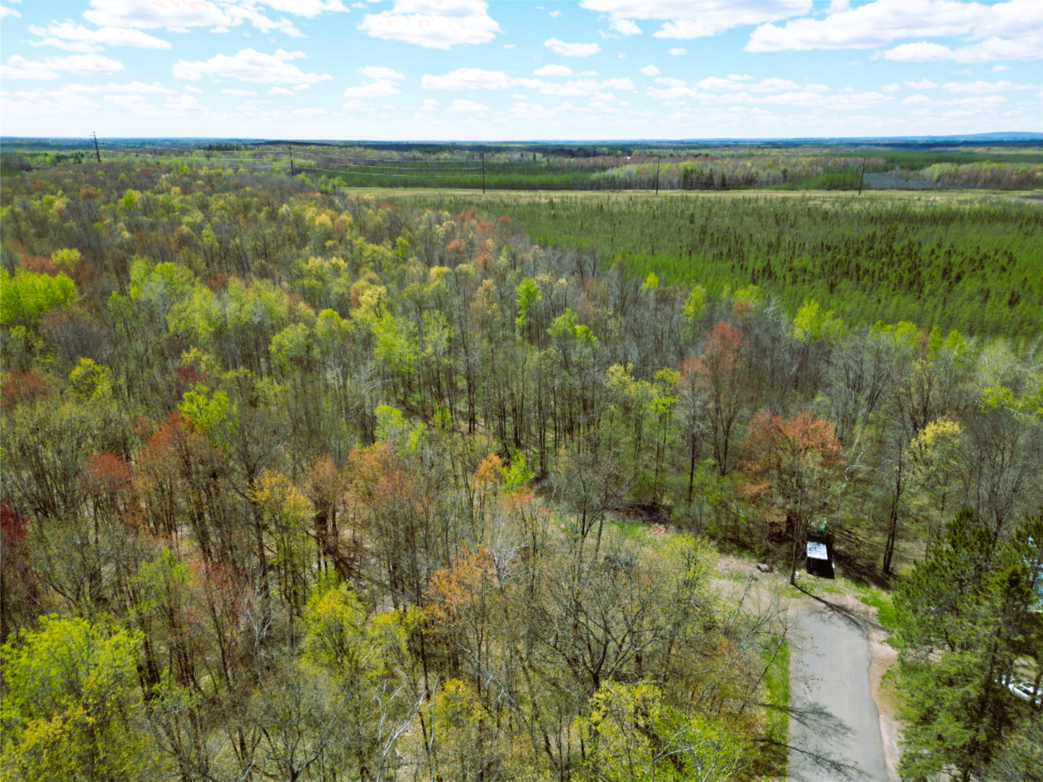 96+ Acres on White Birch Ridge Road