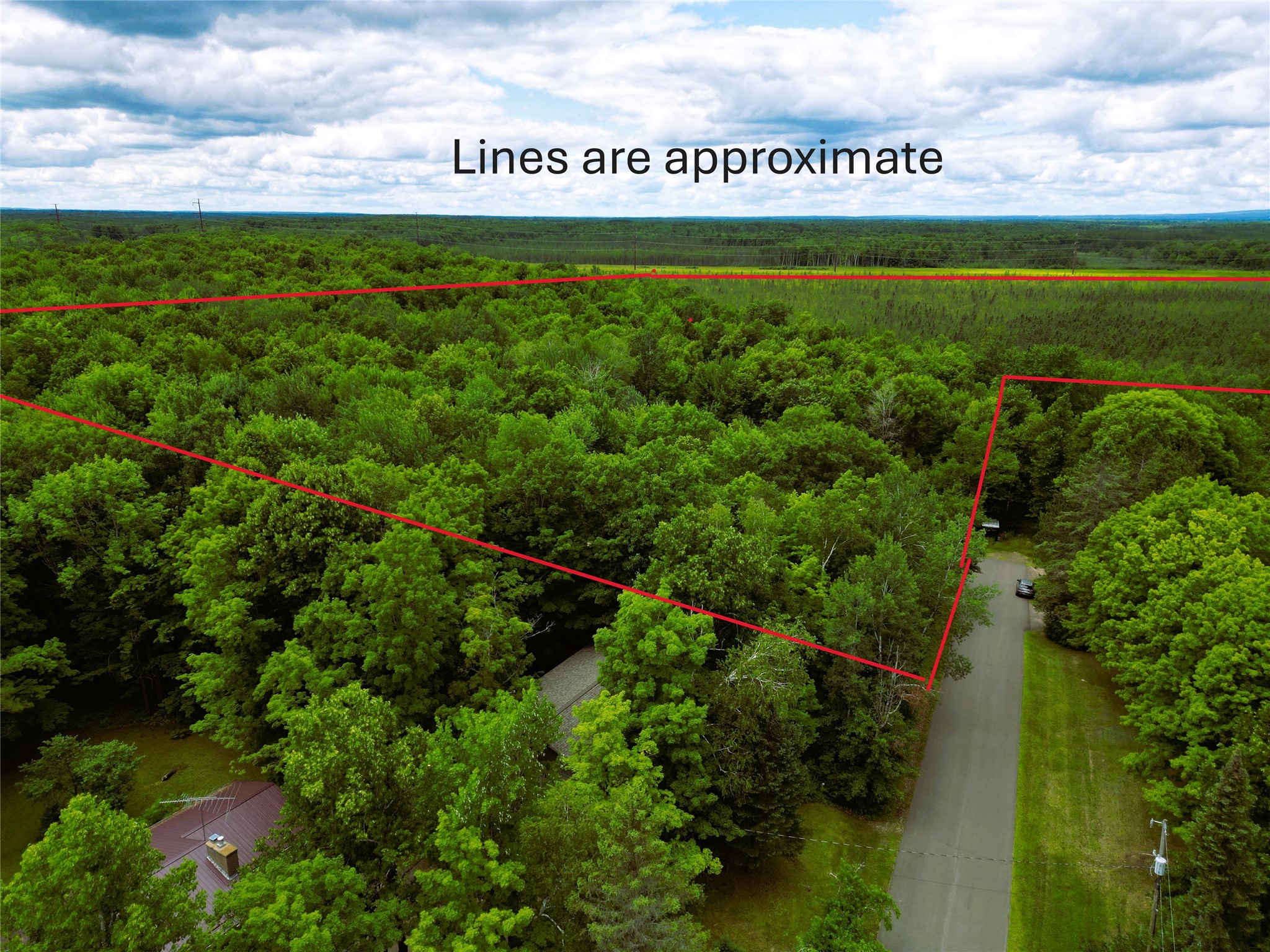 96+ Acres on White Birch Ridge Road