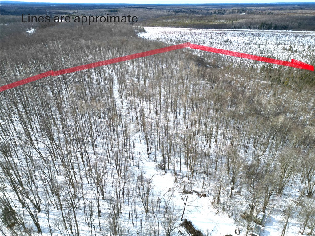 96+ Acres on White Birch Ridge Road