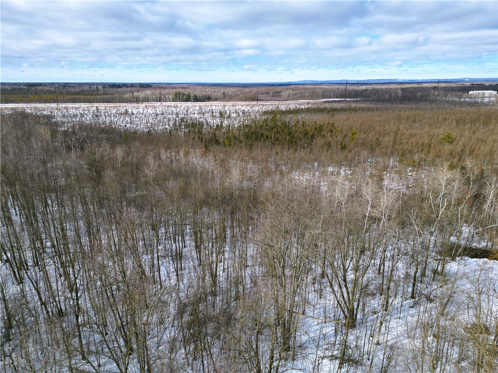 96+ Acres on White Birch Ridge Road