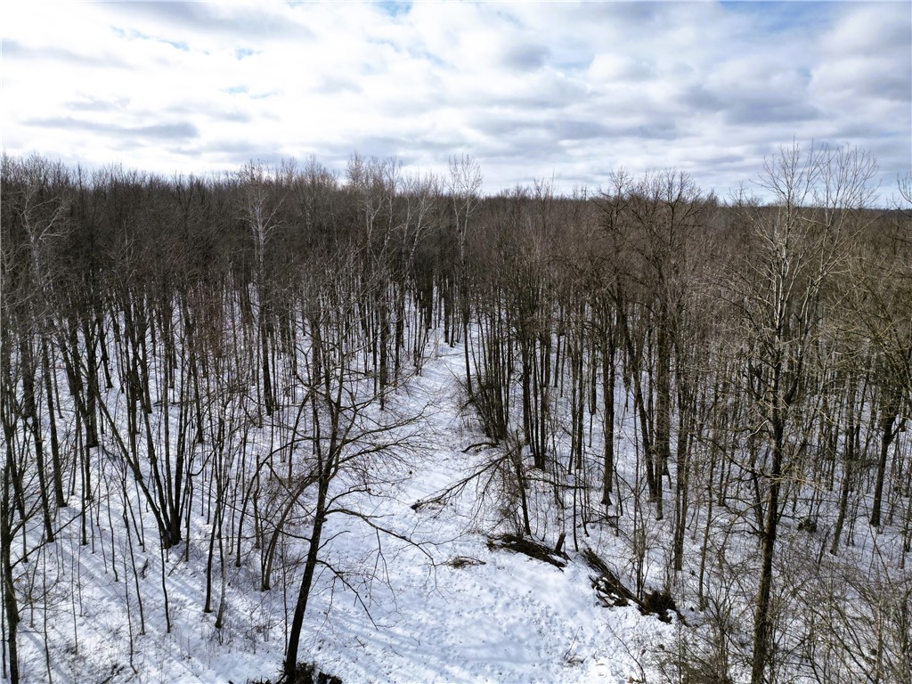 96+ Acres on White Birch Ridge Road