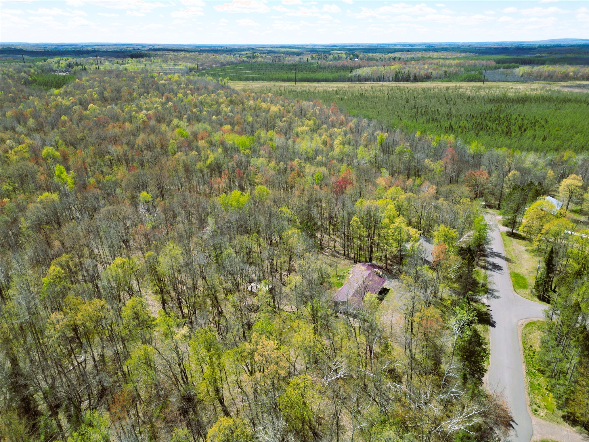 96+ Acres on White Birch Ridge Road