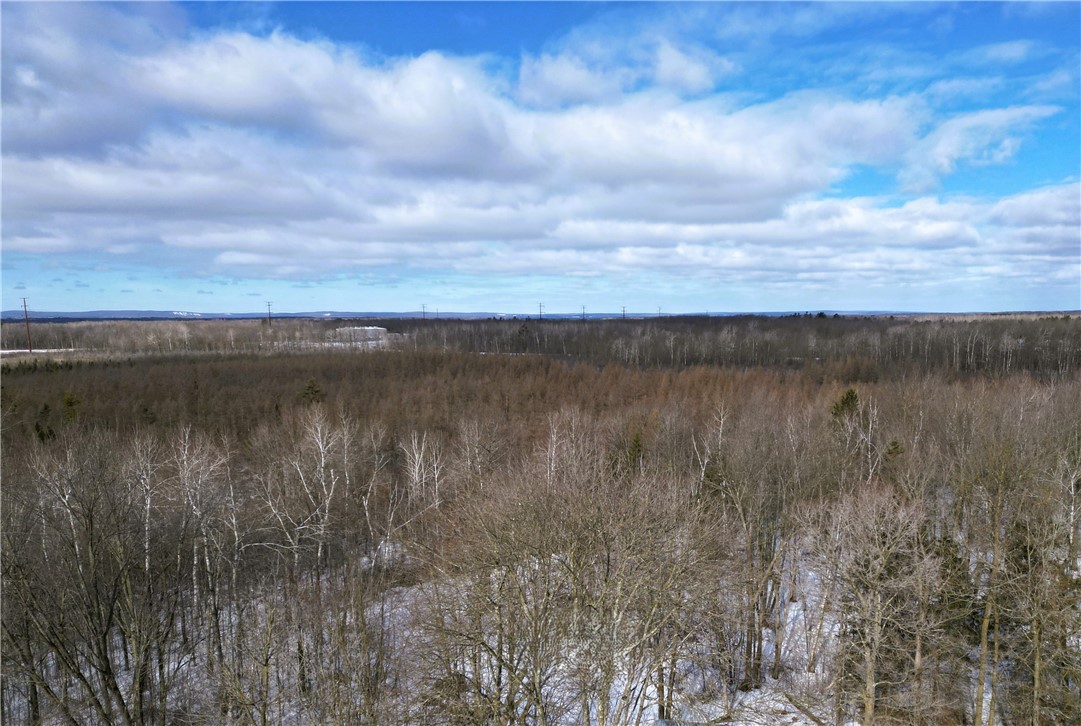 96+ Acres on White Birch Ridge Road