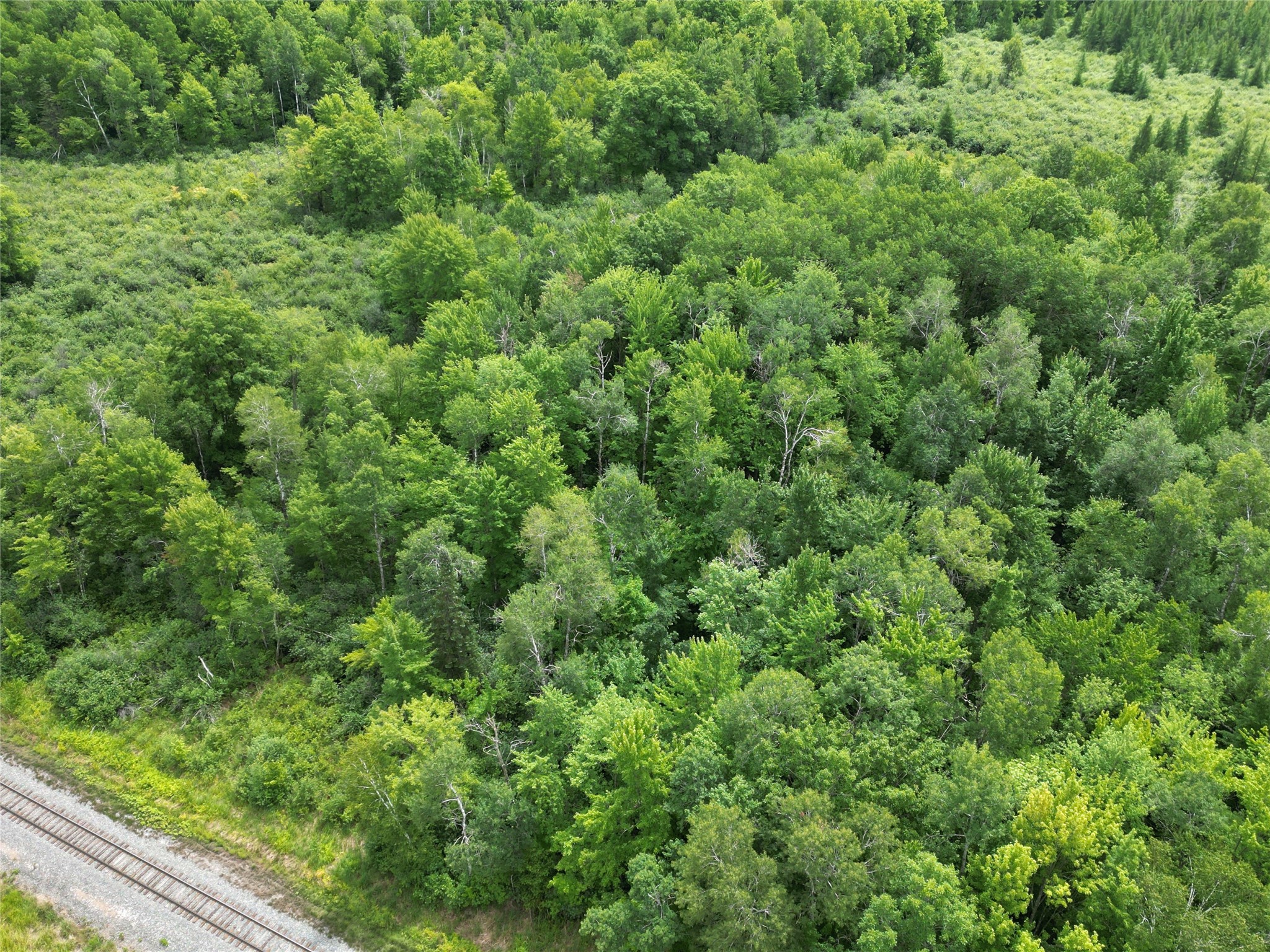 96+ Acres on White Birch Ridge Road