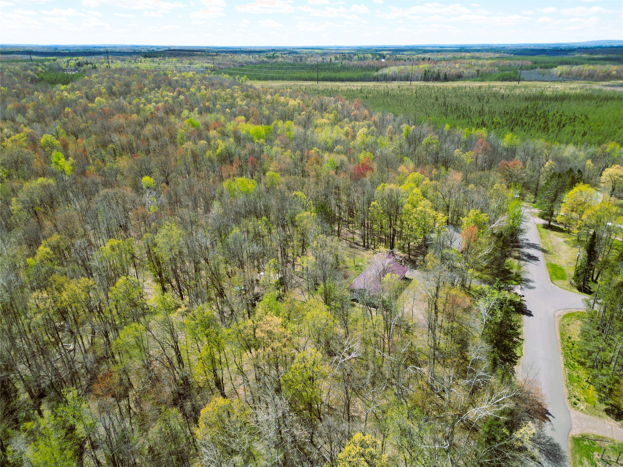 96+ Acres on White Birch Ridge Road