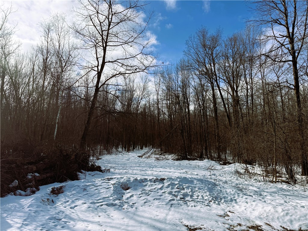 96+ Acres on White Birch Ridge Road