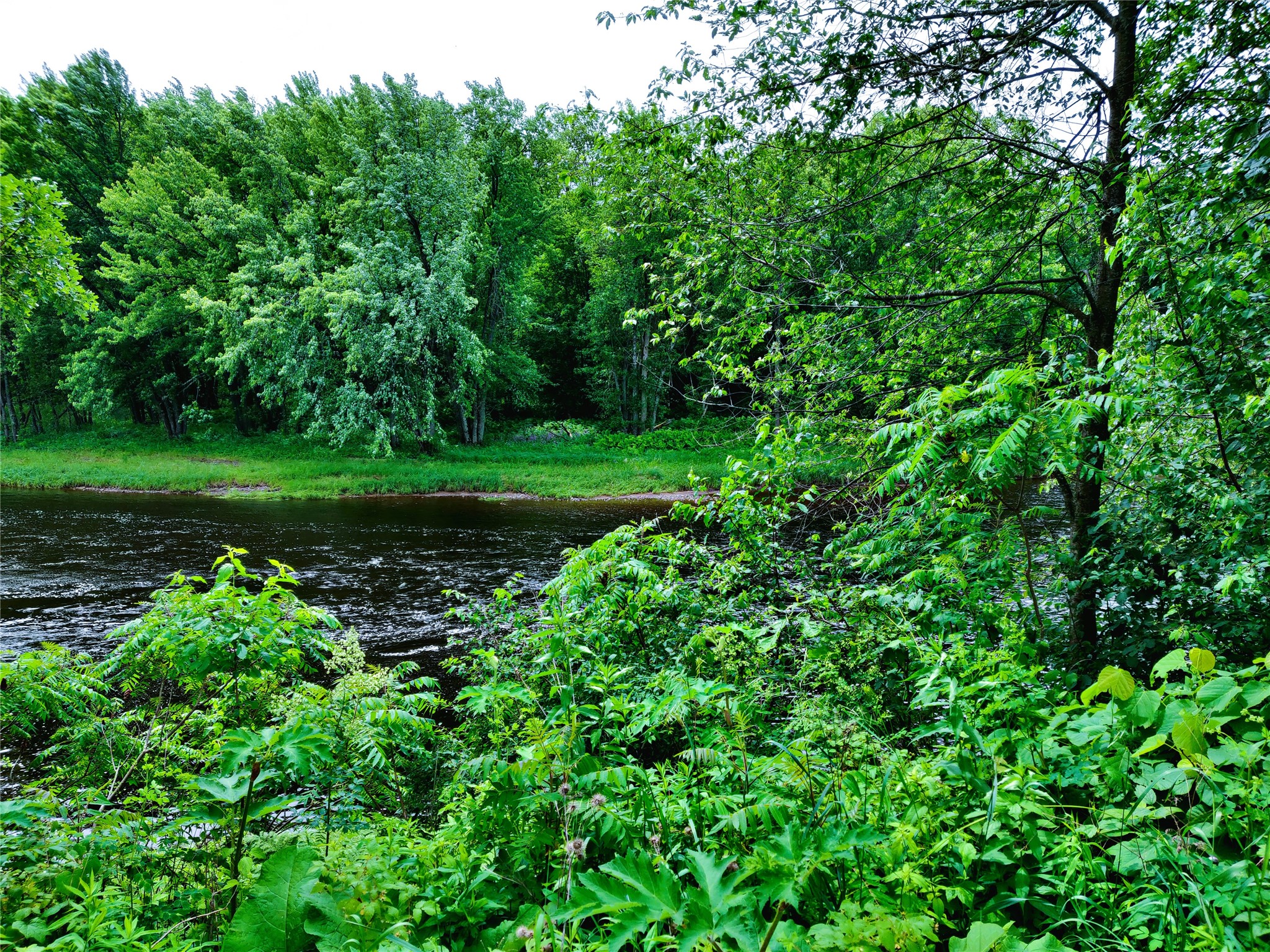 1.35 Acres on Isabella Lane