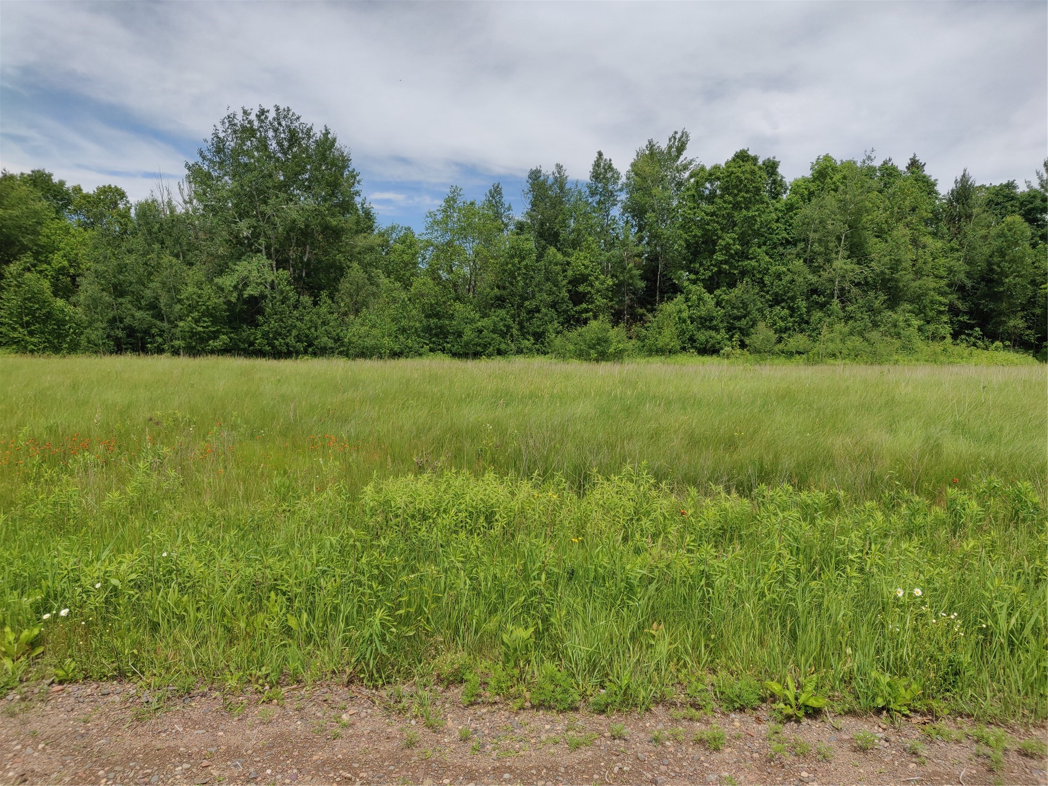 1.35 Acres on Isabella Lane