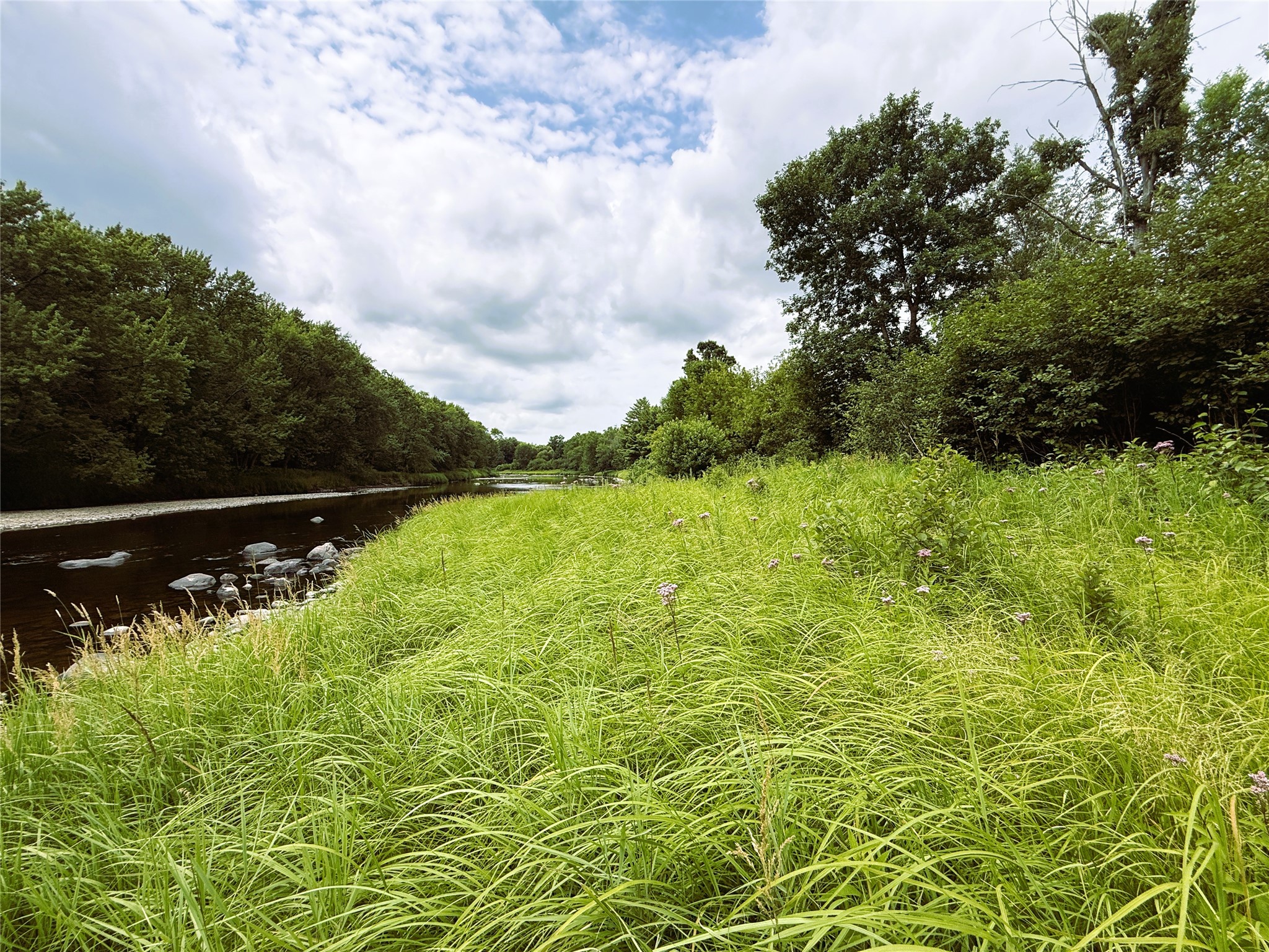 1.35 Acres on Isabella Lane