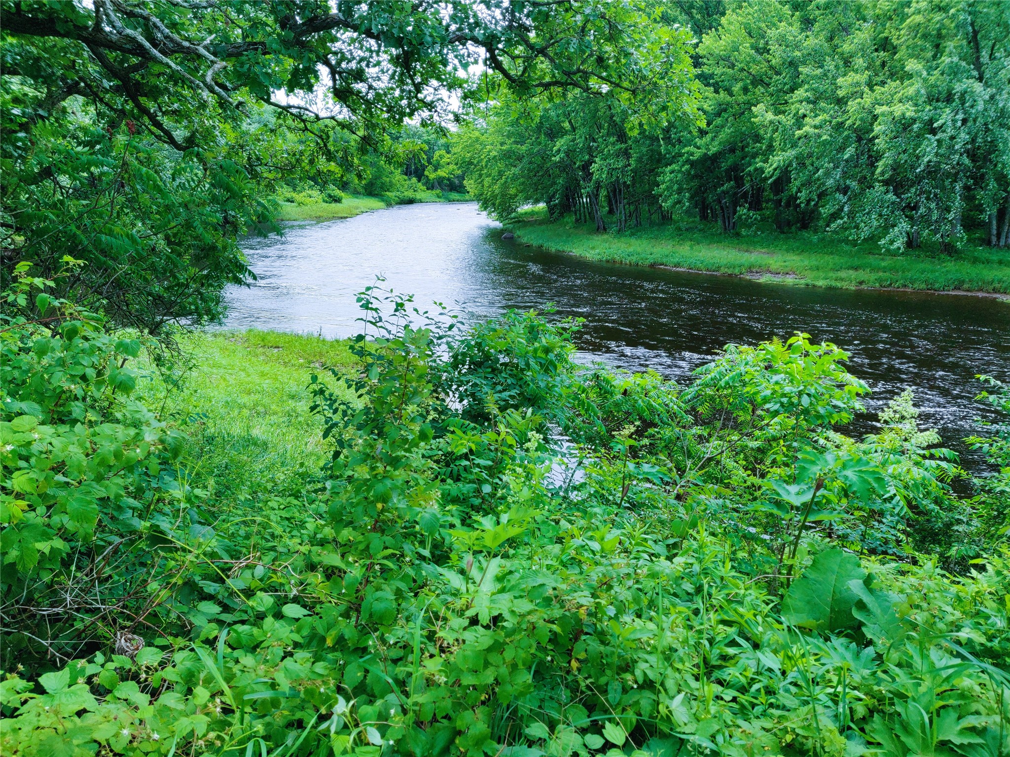 1.35 Acres on Isabella Lane