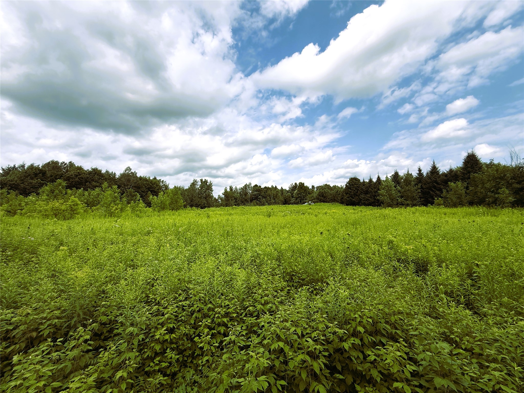 1.35 Acres on Isabella Lane