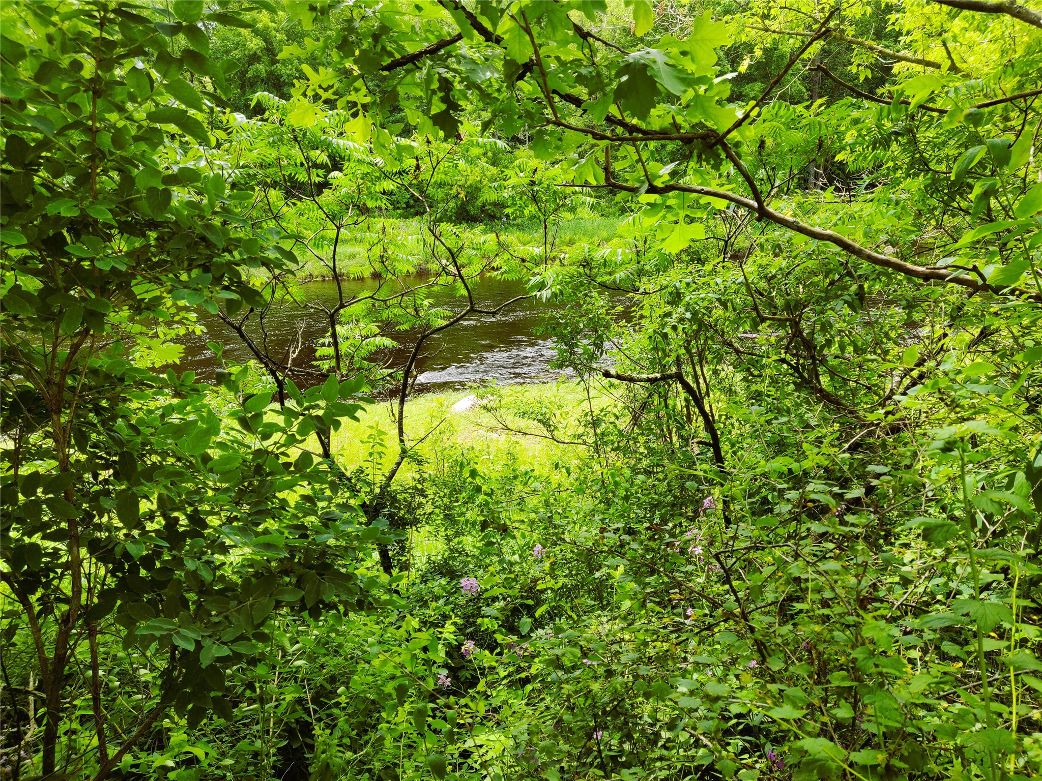 1.35 Acres on Isabella Lane