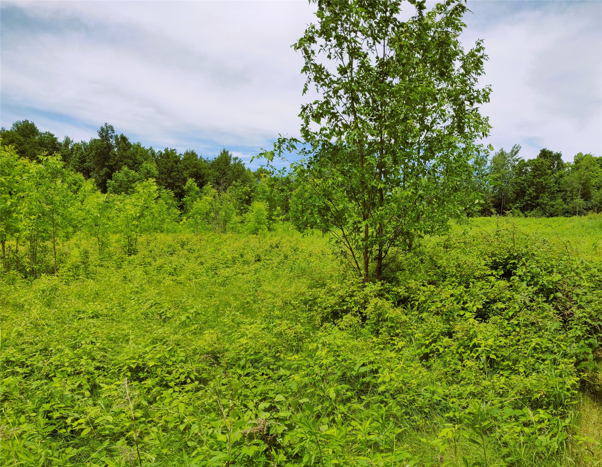 1.35 Acres on Isabella Lane