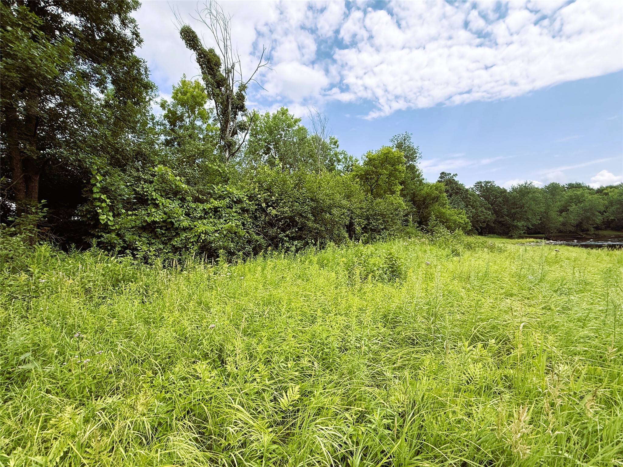 1.35 Acres on Isabella Lane