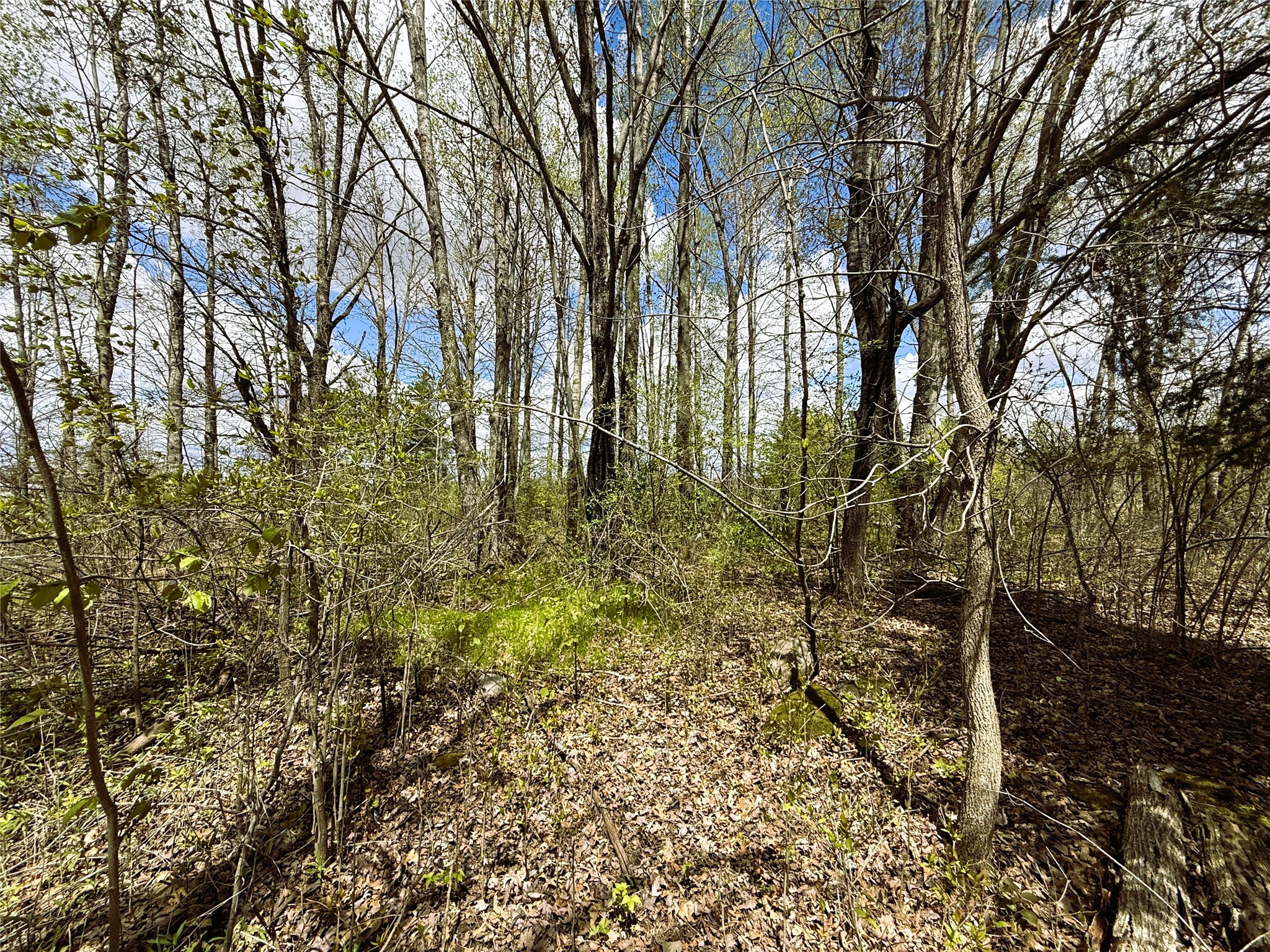 1 Acre Highway 8
