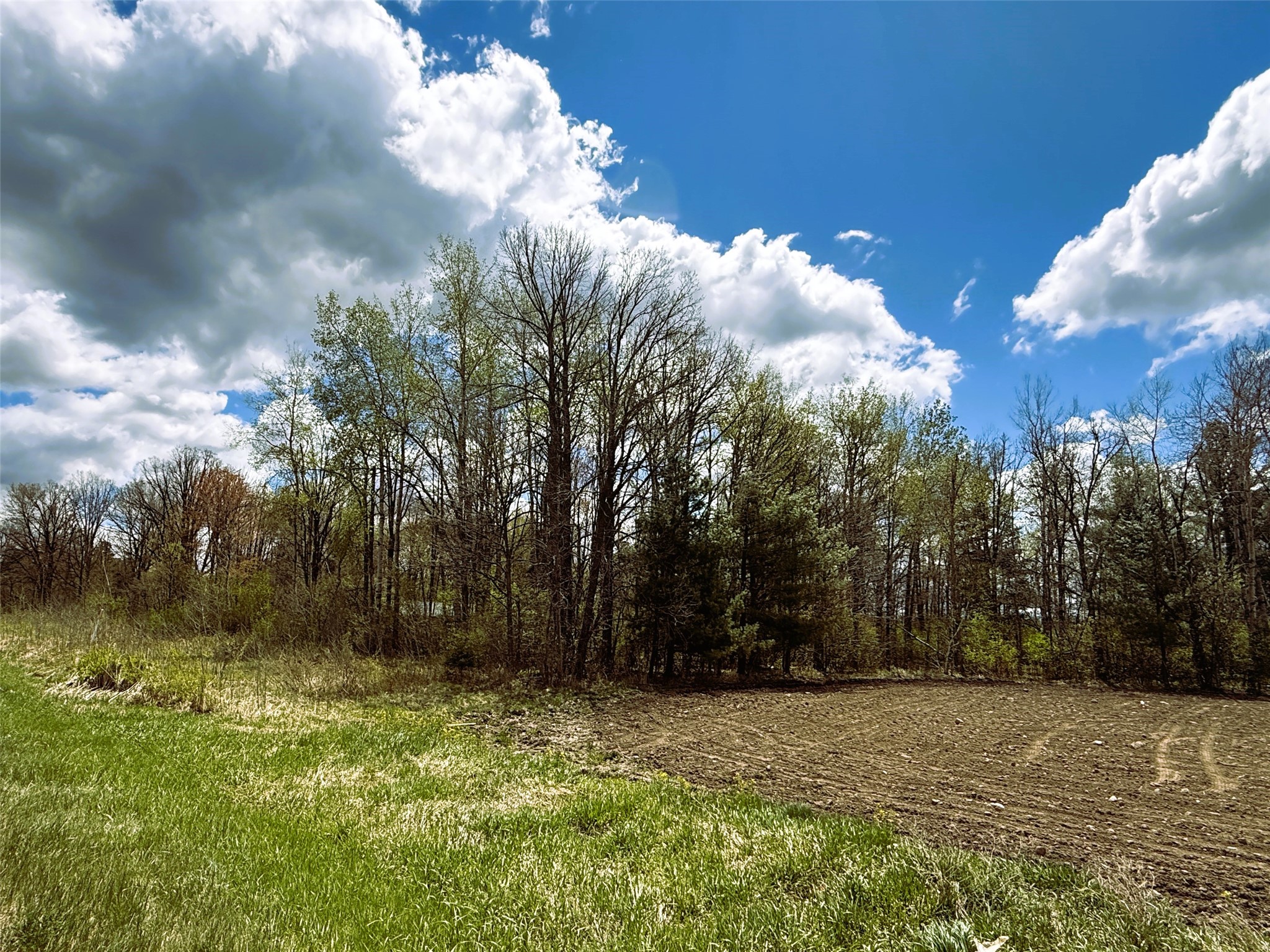 1 Acre Highway 8