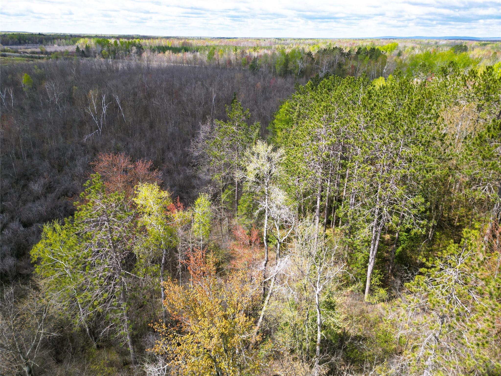36.5 Acres E Cedarbrook Rd