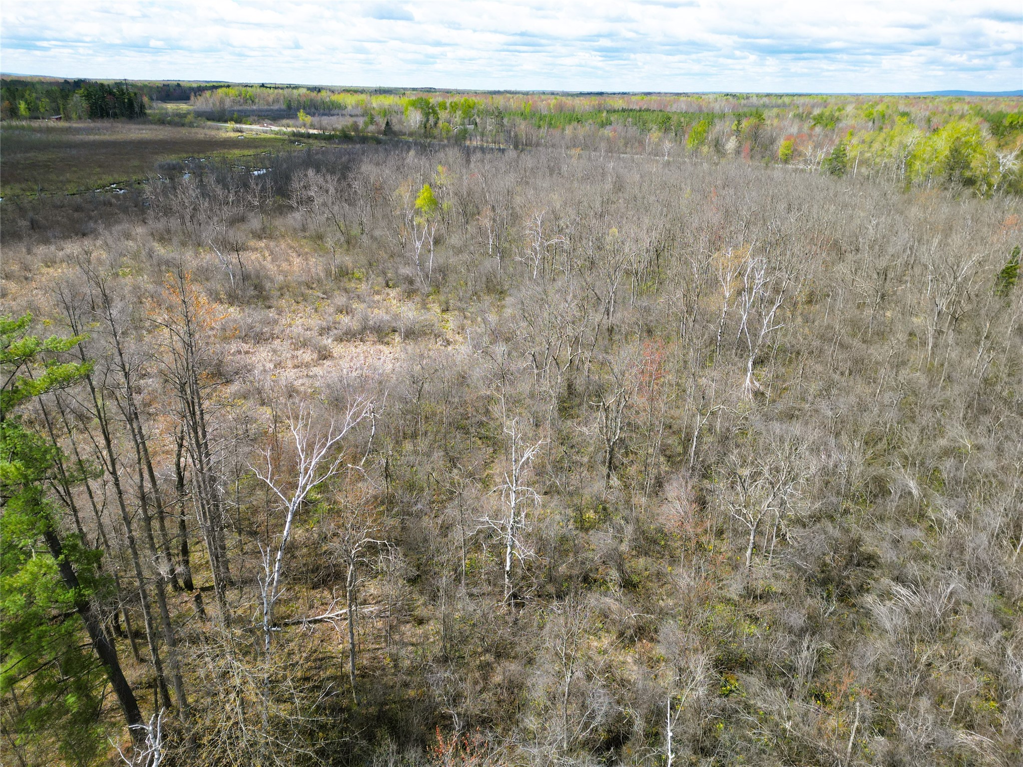 36.5 Acres E Cedarbrook Rd