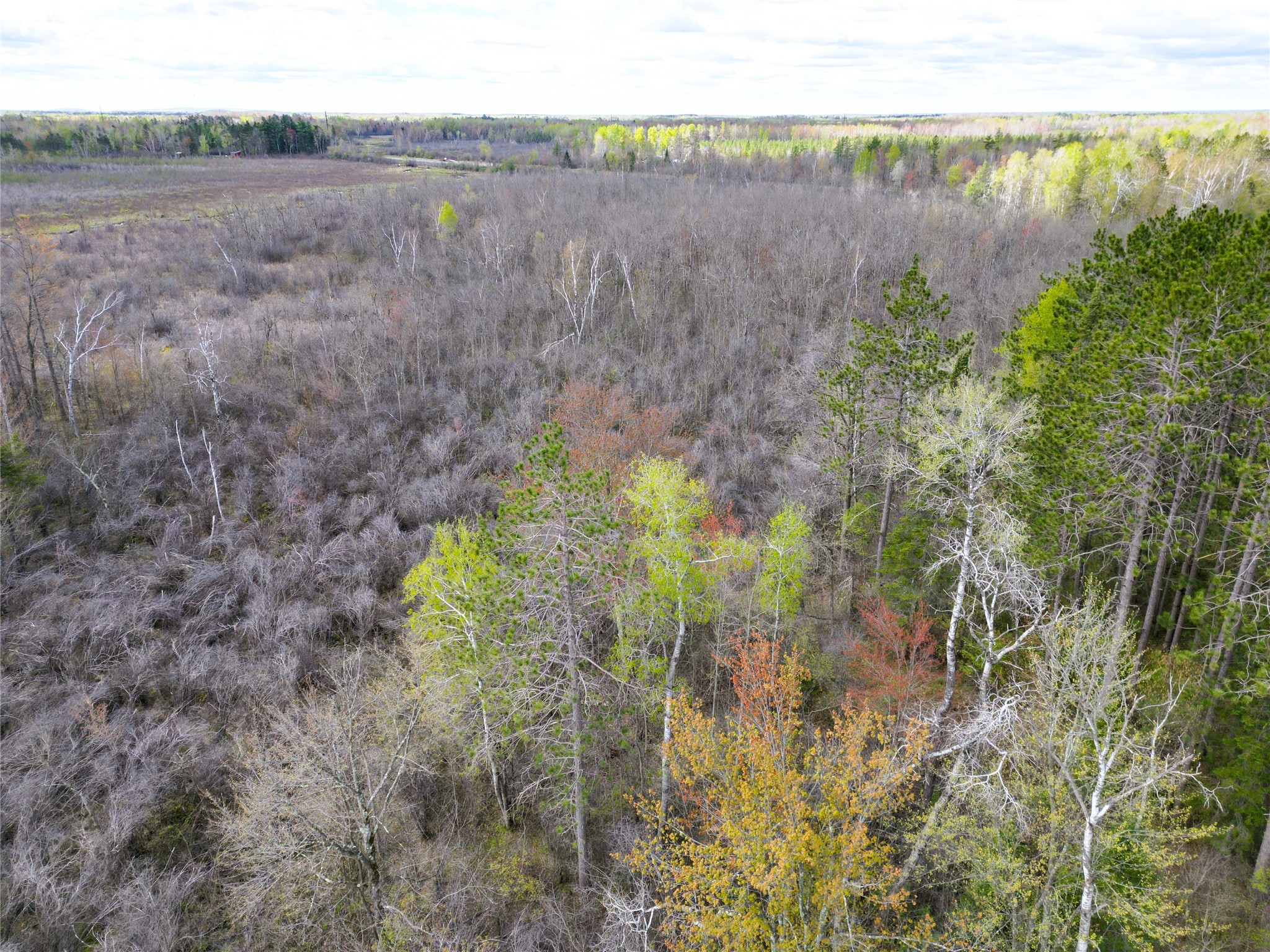 36.5 Acres E Cedarbrook Rd