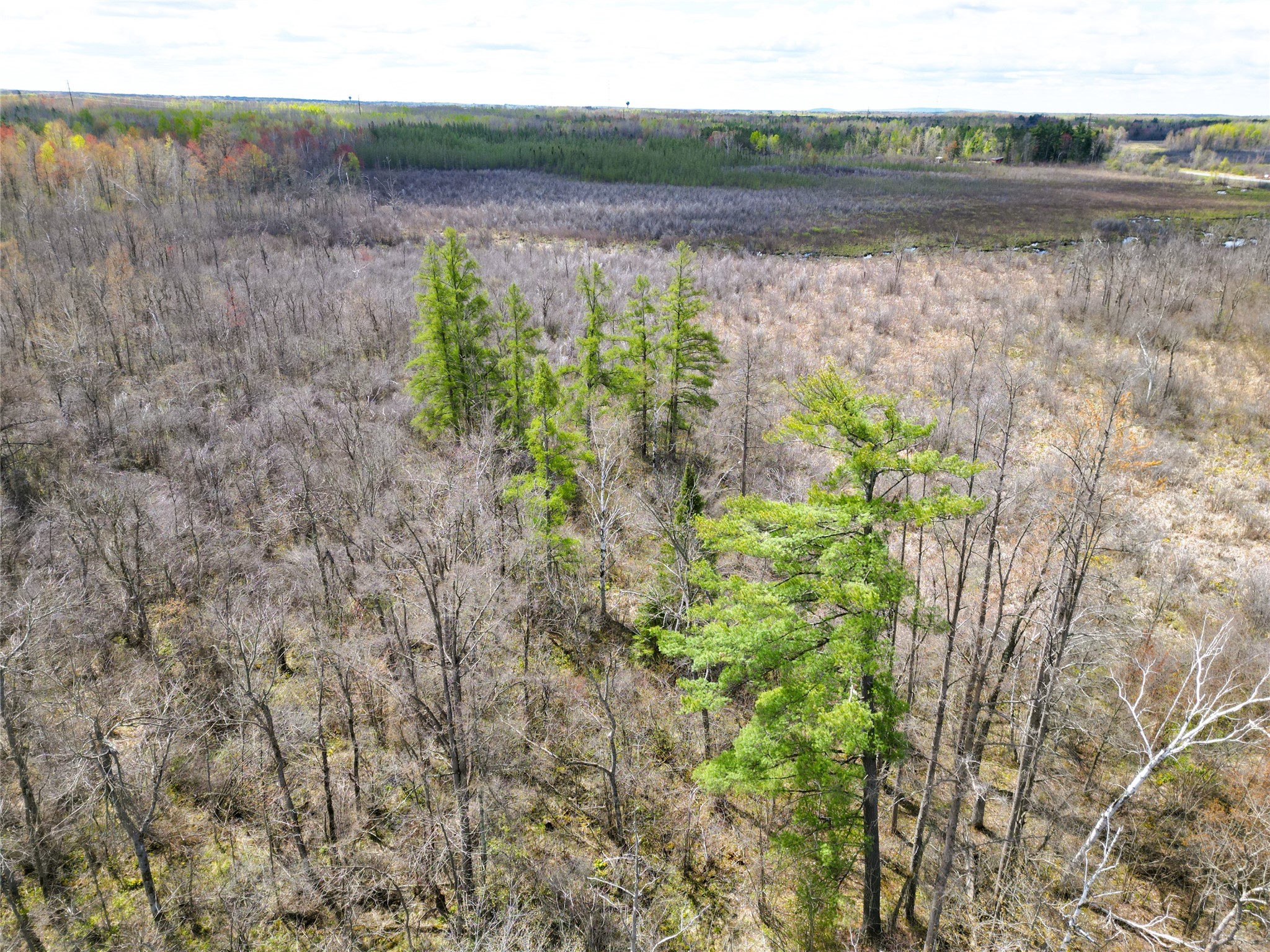 36.5 Acres E Cedarbrook Rd