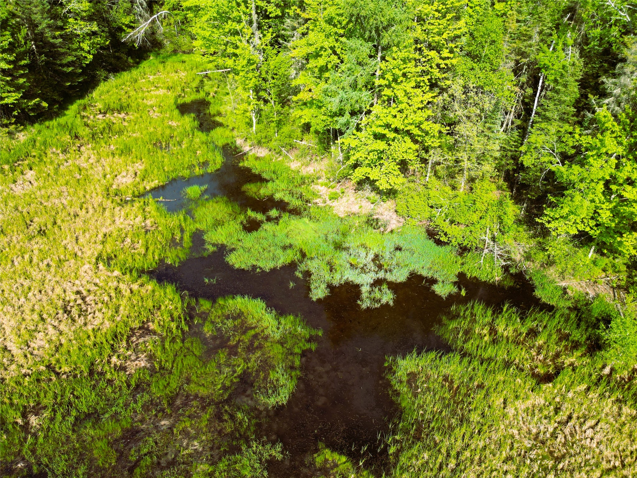 W9902 Flohr Road