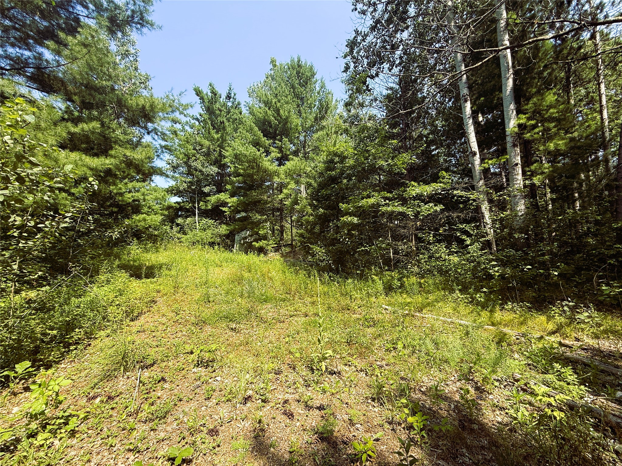 N3720 Hwy 40