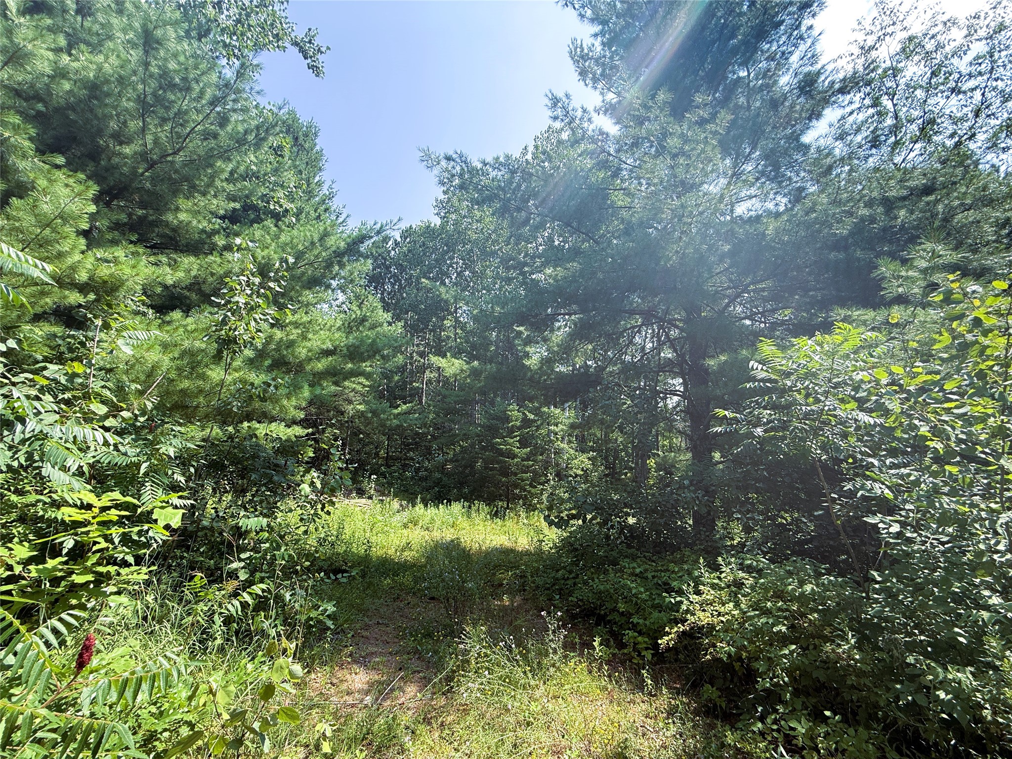 N3720 Hwy 40