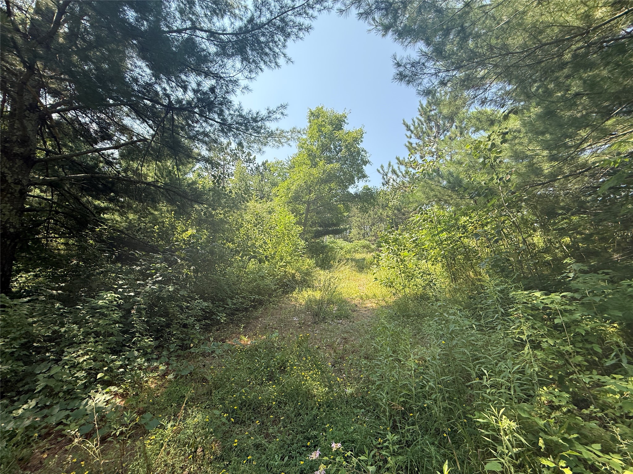 N3720 Hwy 40