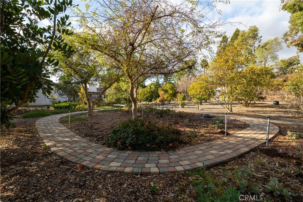 1256 Pleiades Drive