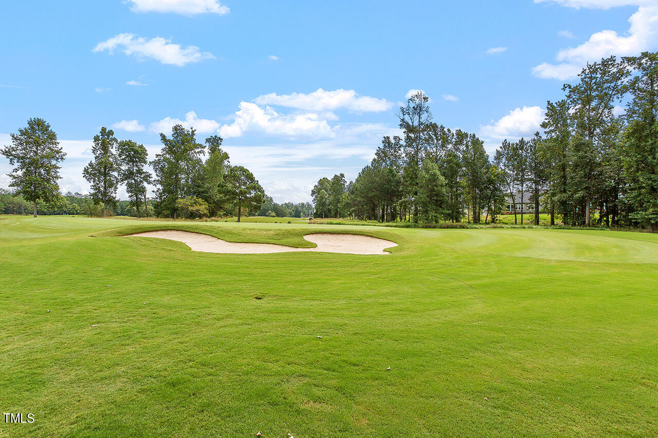 501 Morning Oaks Drive