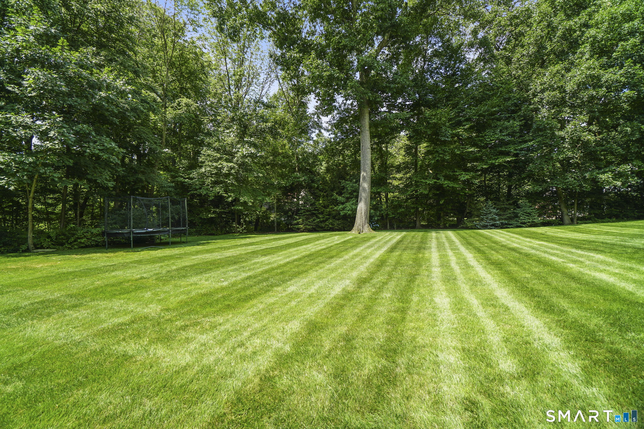 137 Linden Tree Road