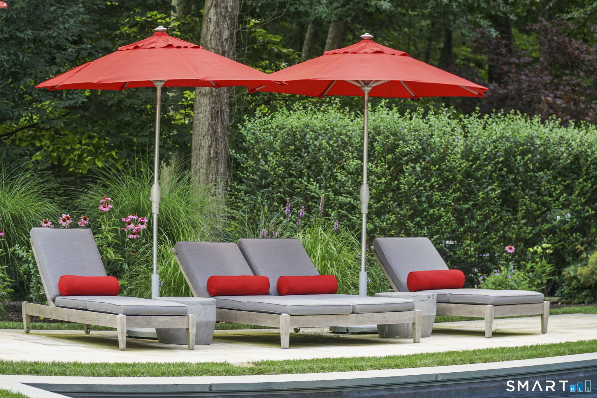 137 Linden Tree Road