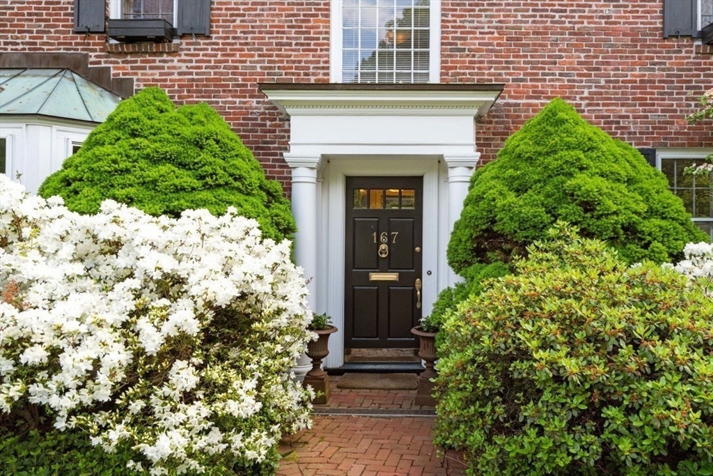 167 Willard Rd