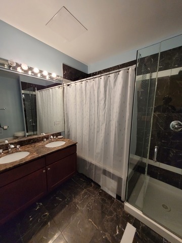 4546 S Indiana Avenue Unit: 2N