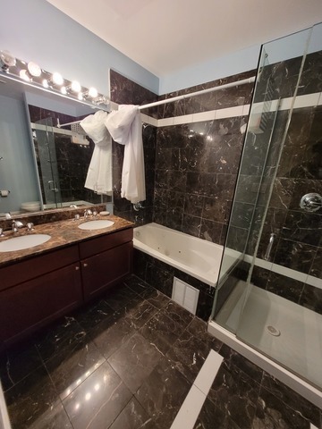 4546 S Indiana Avenue Unit: 2N