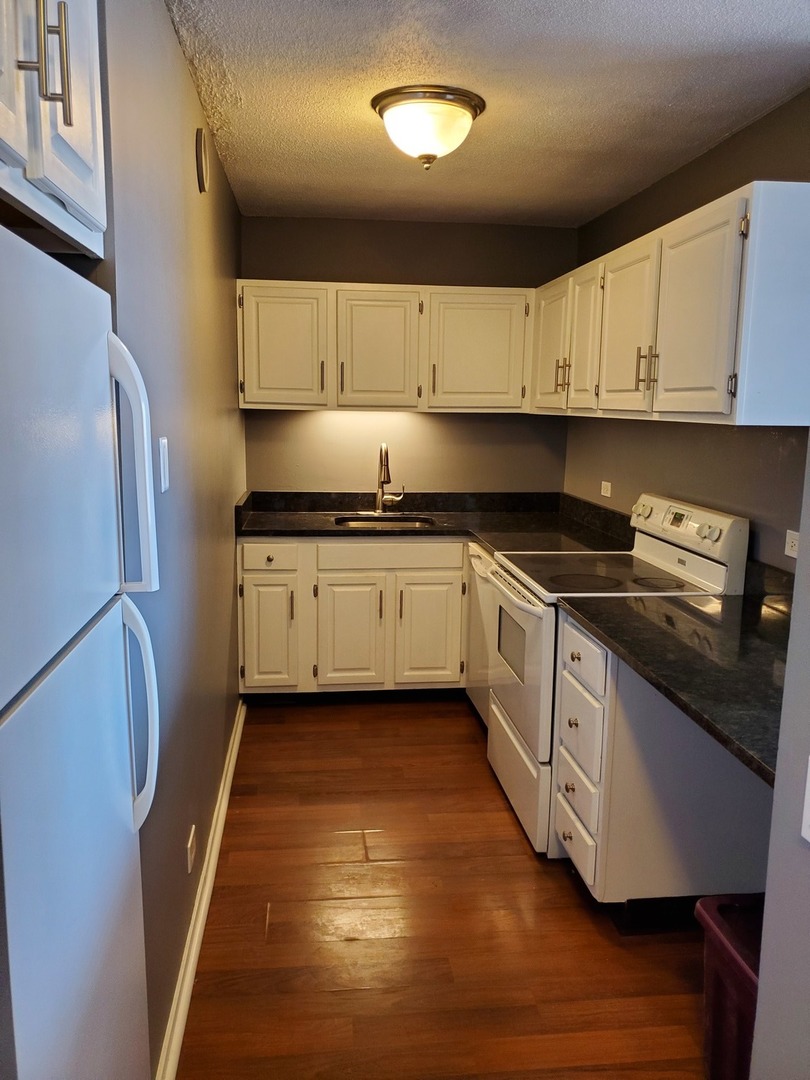 899 S Plymouth Court Unit: 1210