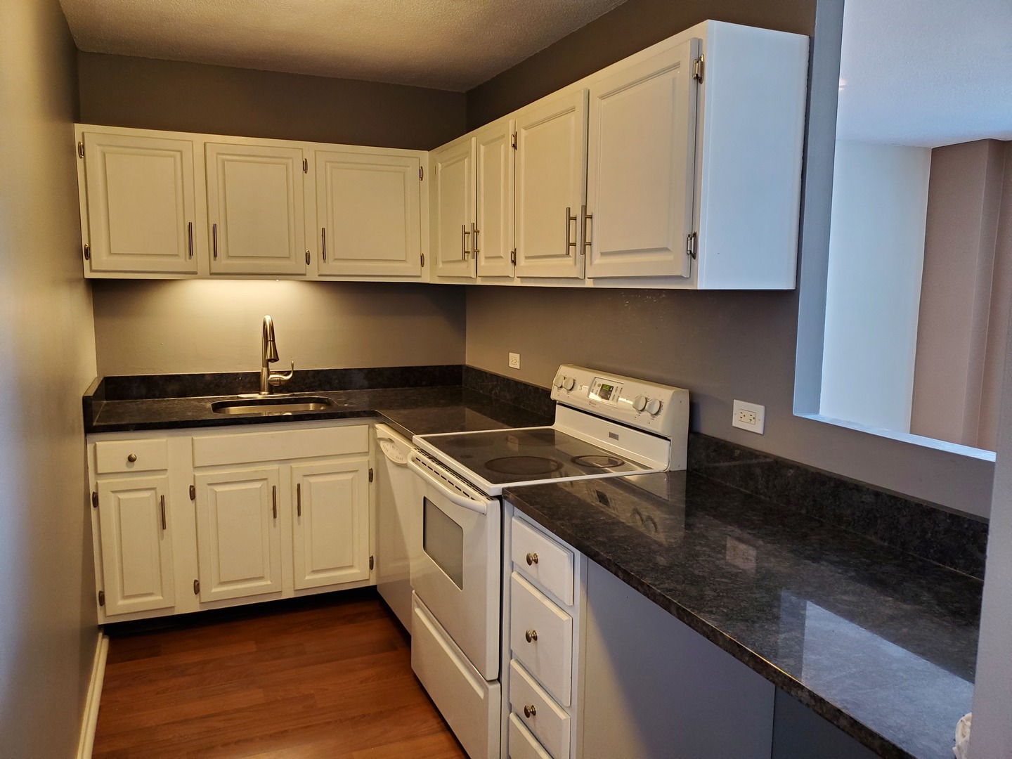 899 S Plymouth Court Unit: 1210