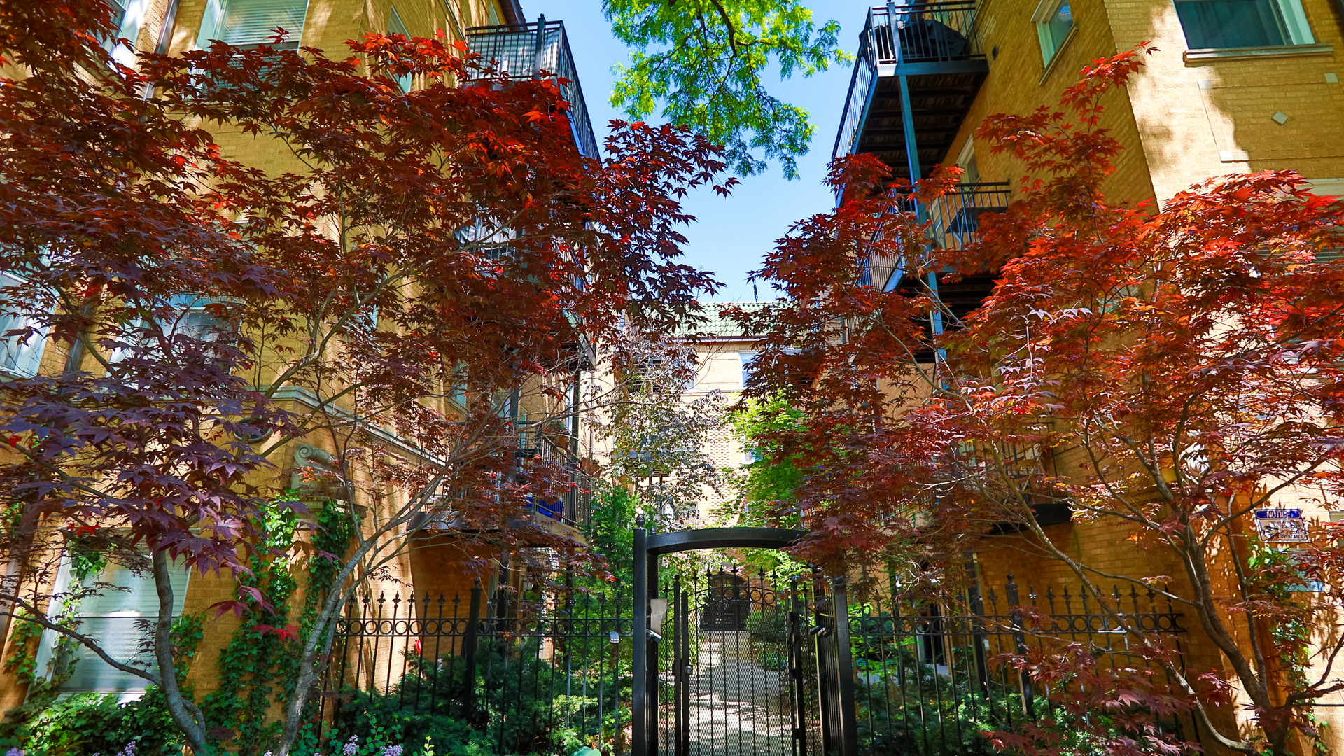 7631 N Greenview Avenue Unit: 1F