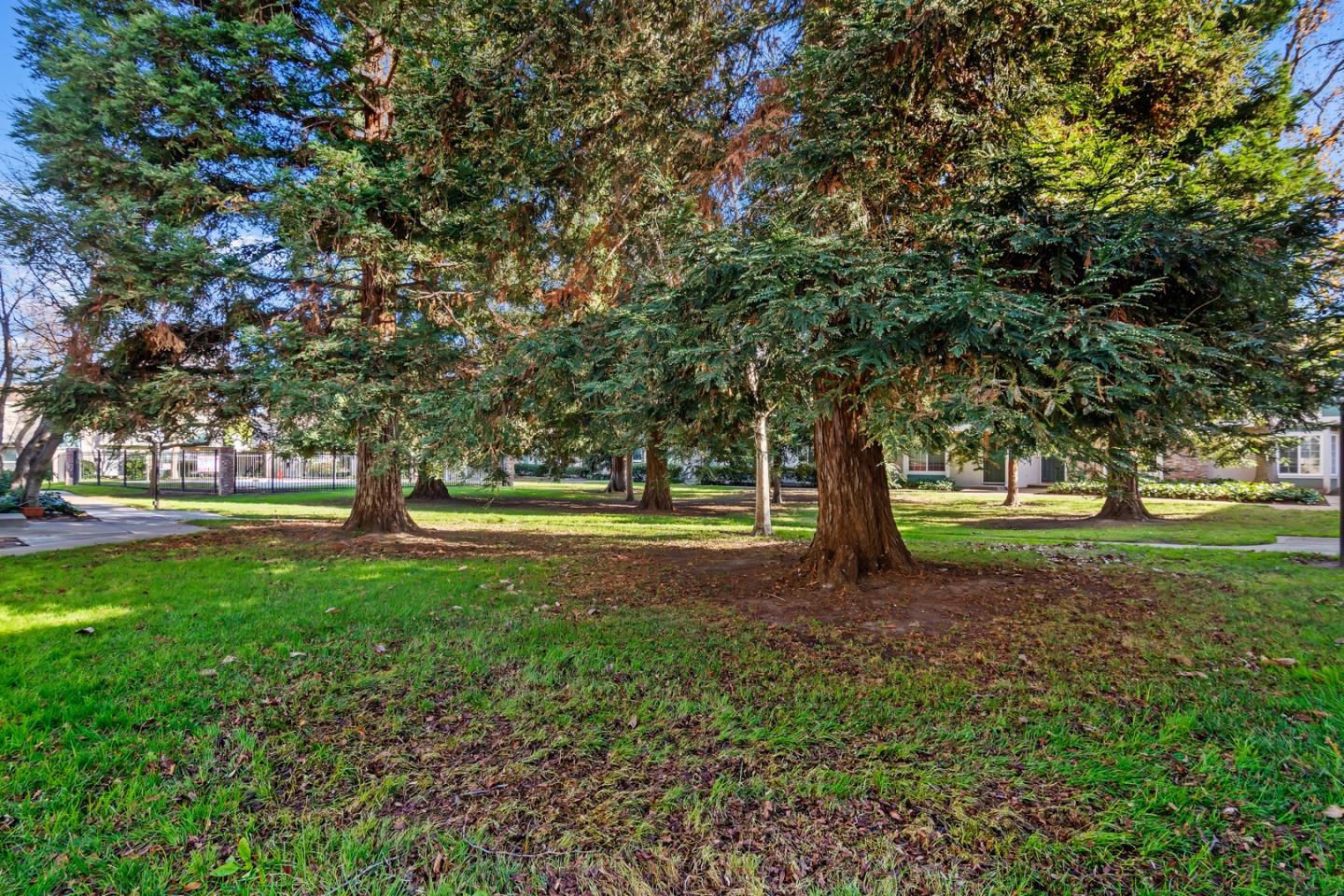 1235 Pine Creek Way J