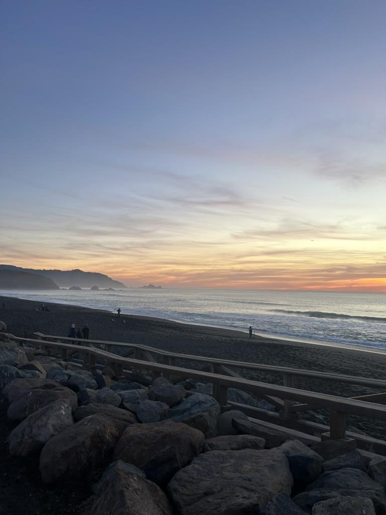 2311 Beach BLVD 202