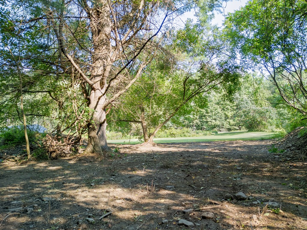 1965 Thornbottom Road