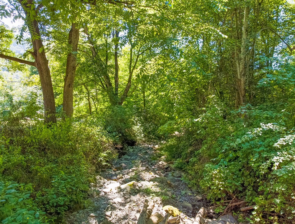 836 Burton Hill Road