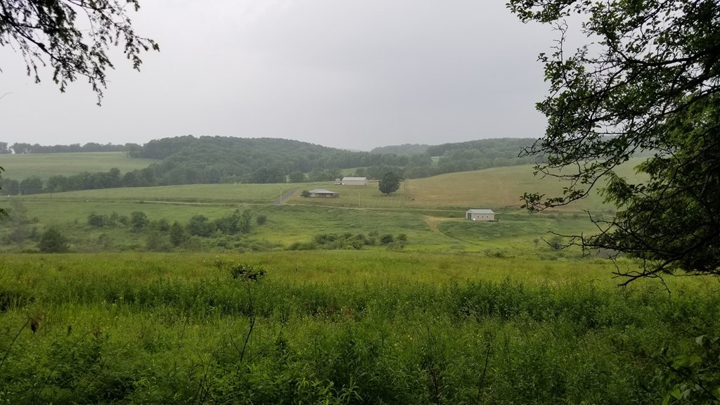 00 Bingham Center Road